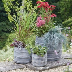 Front Page -Elho Shop 5021346423563 2