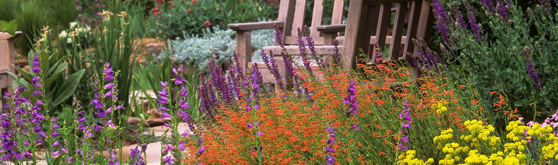 Front Page -Elho Shop banner933