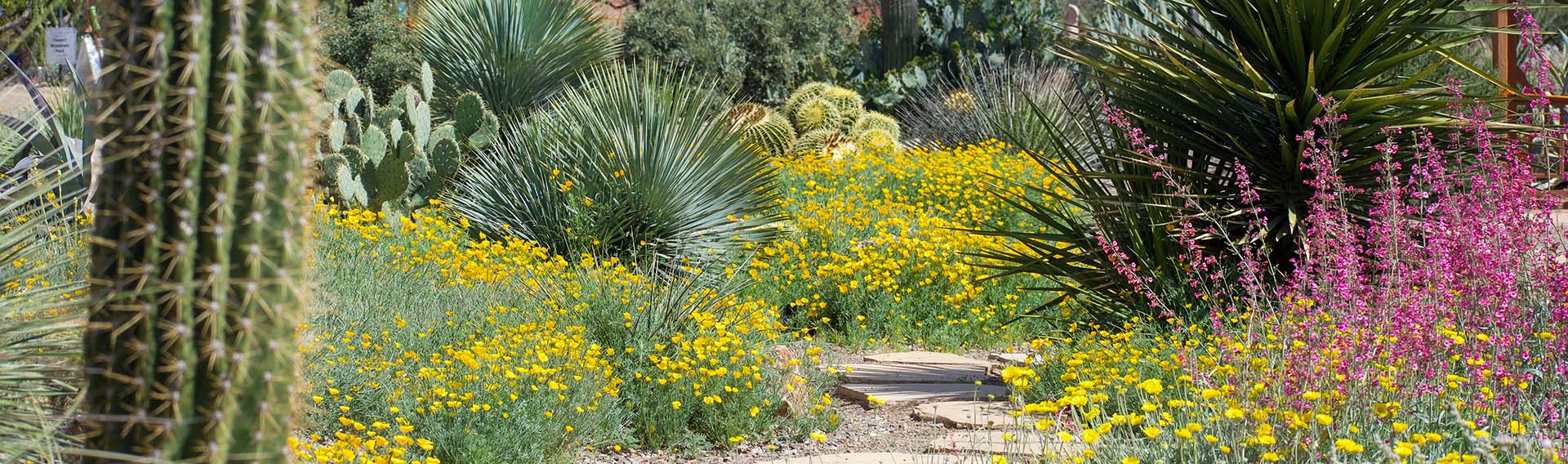 Front Page -Elho Shop banner952